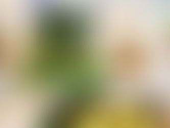 Does Vinegar Pull Iron From Cast Iron? The Science Behind a Simple Kitchen Trick