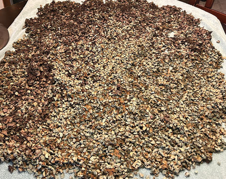 The Rock That Runs Hot: Everything We Love About Zeolite
