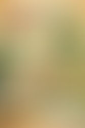 The Truth About the “Vinegar Bowl Trick