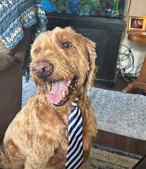 IMG_7331 (1)_edited.png