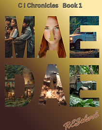book cover 2.png