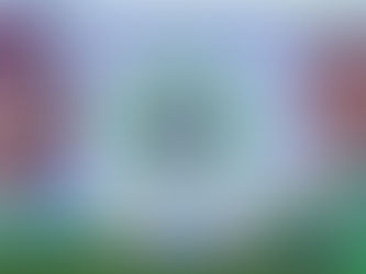 Renewed Hope Partners: Grassroots Engagement as the Engine of National Renewal.
 ~Written by Hashim Ahmed