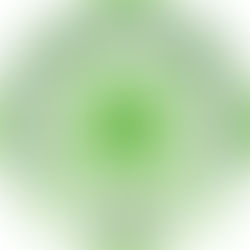 ANNS TO SHUTDOWN NATIONAL ASSEMBLY OVER NINGI SUSPENSION