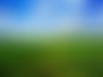 GEJ’s Agricultural Transformation Agenda(ATA), Buhari’s Green Alternative, and the Tinubu’s Renewed Hope Agenda. Despite these initiatives, Nigeria has not made significant progress in agriculture.