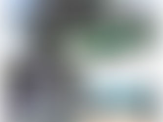 A WORLD CLASS CITY IS ON THE RISE.