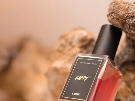 When In Lust For An Object Of Our Desire, we fear the inability to possess it