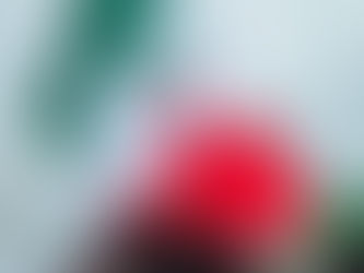 PDP'S GHOST WORKER CARTEL IN CIVIL SERVICE RESISTING USE OF NIN TO IDENTIFY KWARA WORKERS, PENSIONERS — YDC