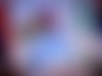 SUSPENSION OF ALL PUBLIC FUNDED FOREIGN TRIPS FOR MINISTERS & HEAD OF AGENCIES~Presidency