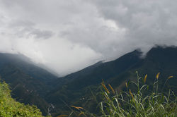 Yungas_6