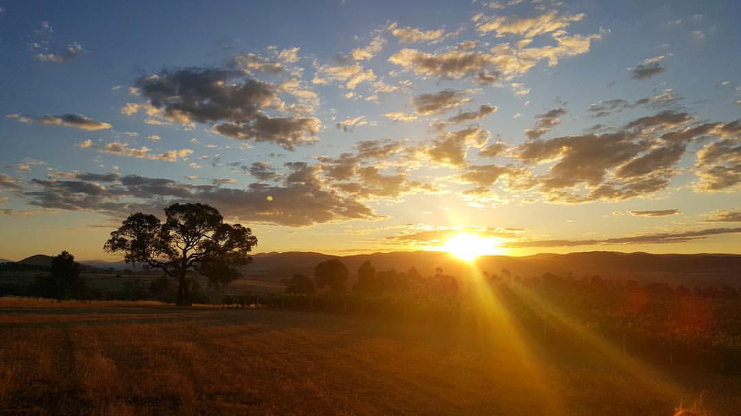 Wallaroo Estate