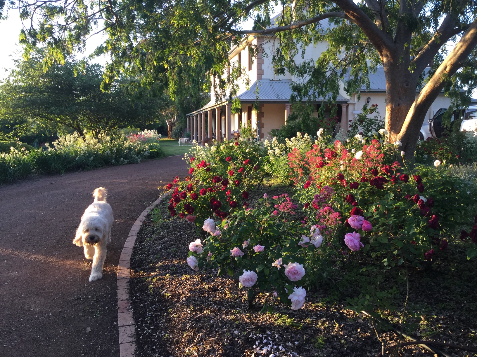 Wallaroo Estate