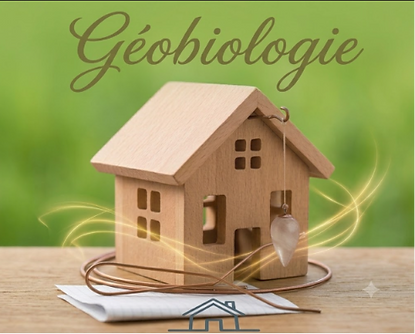 logo ermitage.png