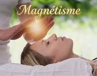 logo ermitage.png