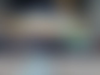 A Federação Pela Vida no Parlamento Europeu