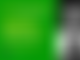 Debate - Encontro por Zoom: Reprodução artificial e Inseminação Pós Mortem 