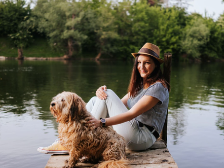 Reiki Animal Communication 