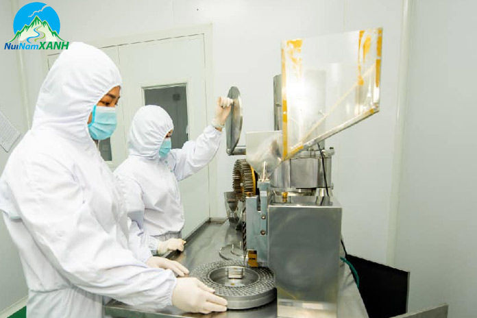 công ty sản xuất và kinh doanh dược liệu nổi tiếng nước ta