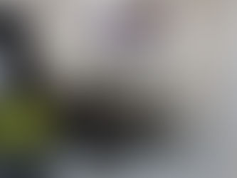 Tilled kitchen,utility room and toilet floors, tilled toilet walls and fitted toilet stuff.