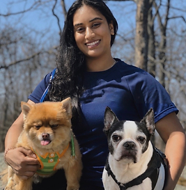 Long Island Groomer