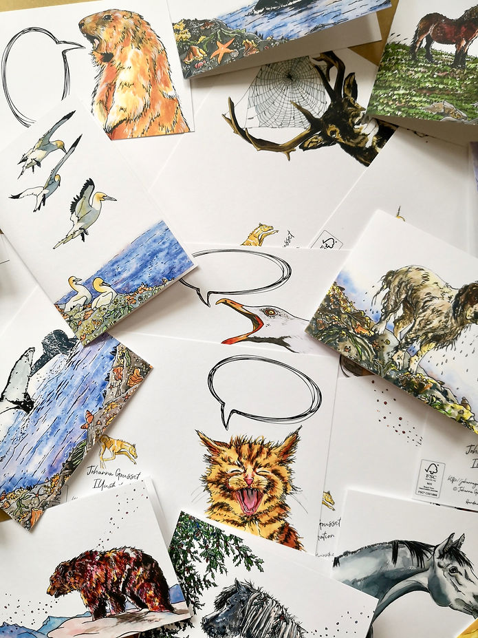 Collections des plus belles cartes de voeux de la boutique en ligne Johanna Gousset Illust