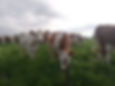 WhatsApp Image 2024-03-12 at 13.39.34.jpeg