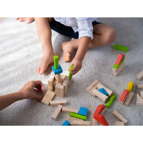 Thumbnail: PlanToys Colorful 40 Unit Blocks