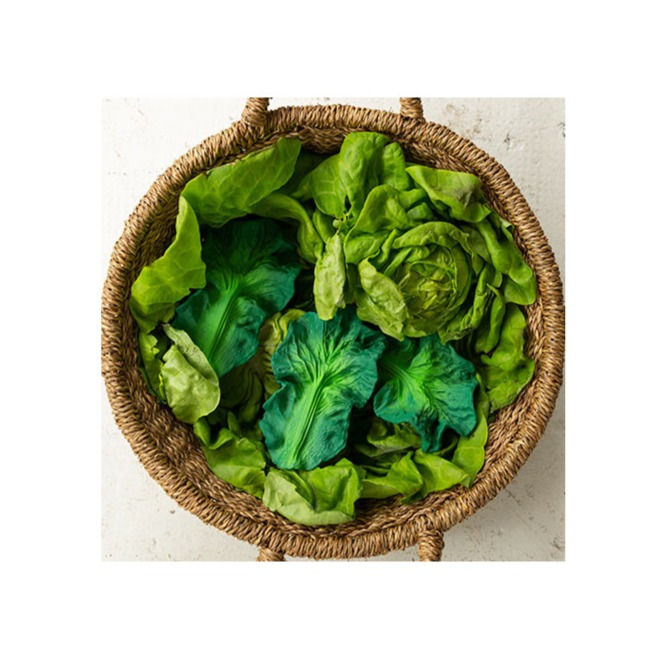 Thumbnail: A basket full of kale as well as the Oli & Carol Kendall the Kale Teether in between the kale