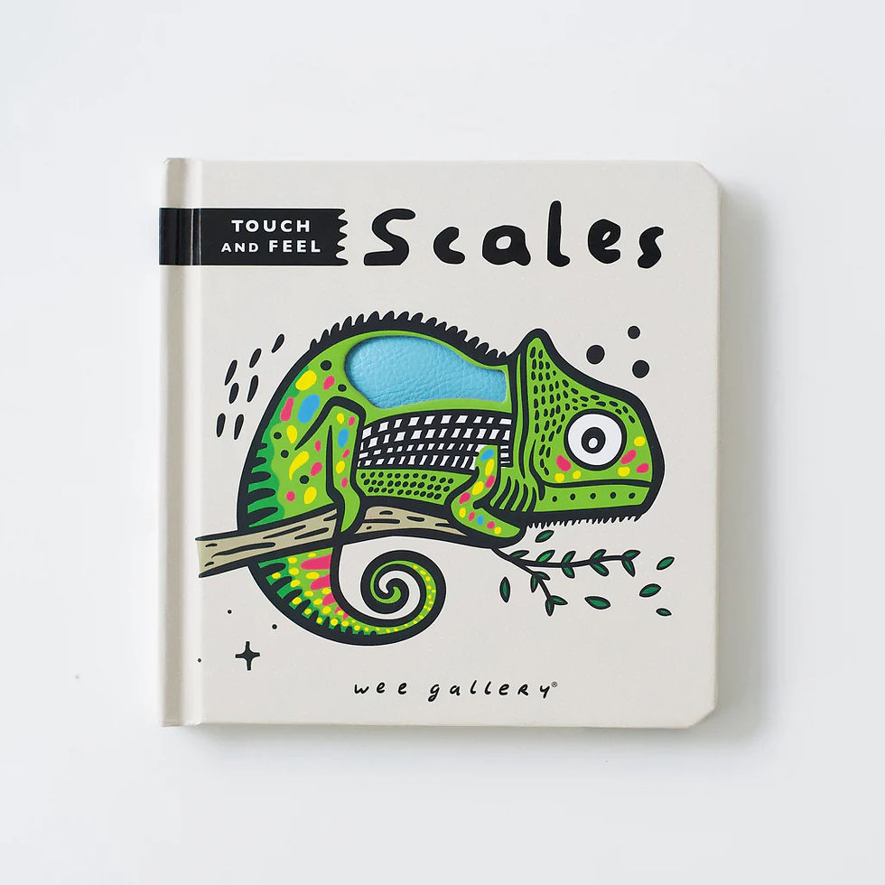 Thumbnail: Wee Gallery Touch and Feel: Scales