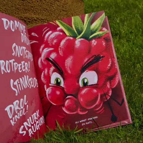 Thumbnail: Book Hongry Framboos