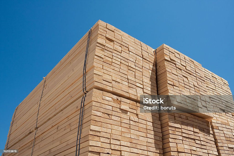 istockphoto-152133878-1024x1024.jpg