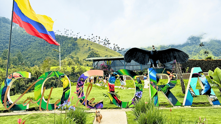 Entrance area of Cocora Valley in Colombia with colorful bird artwork, wax palms and mountain views.