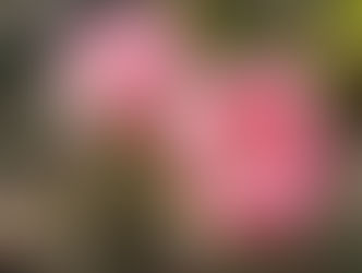 Developing A Radical Consciousness