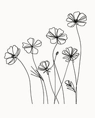 Untitled design (4)_edited.jpg