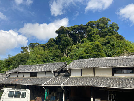 里山のお手入れ