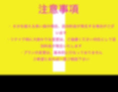 JPEGイメージ-DE830F3FBF6B-1.jpeg