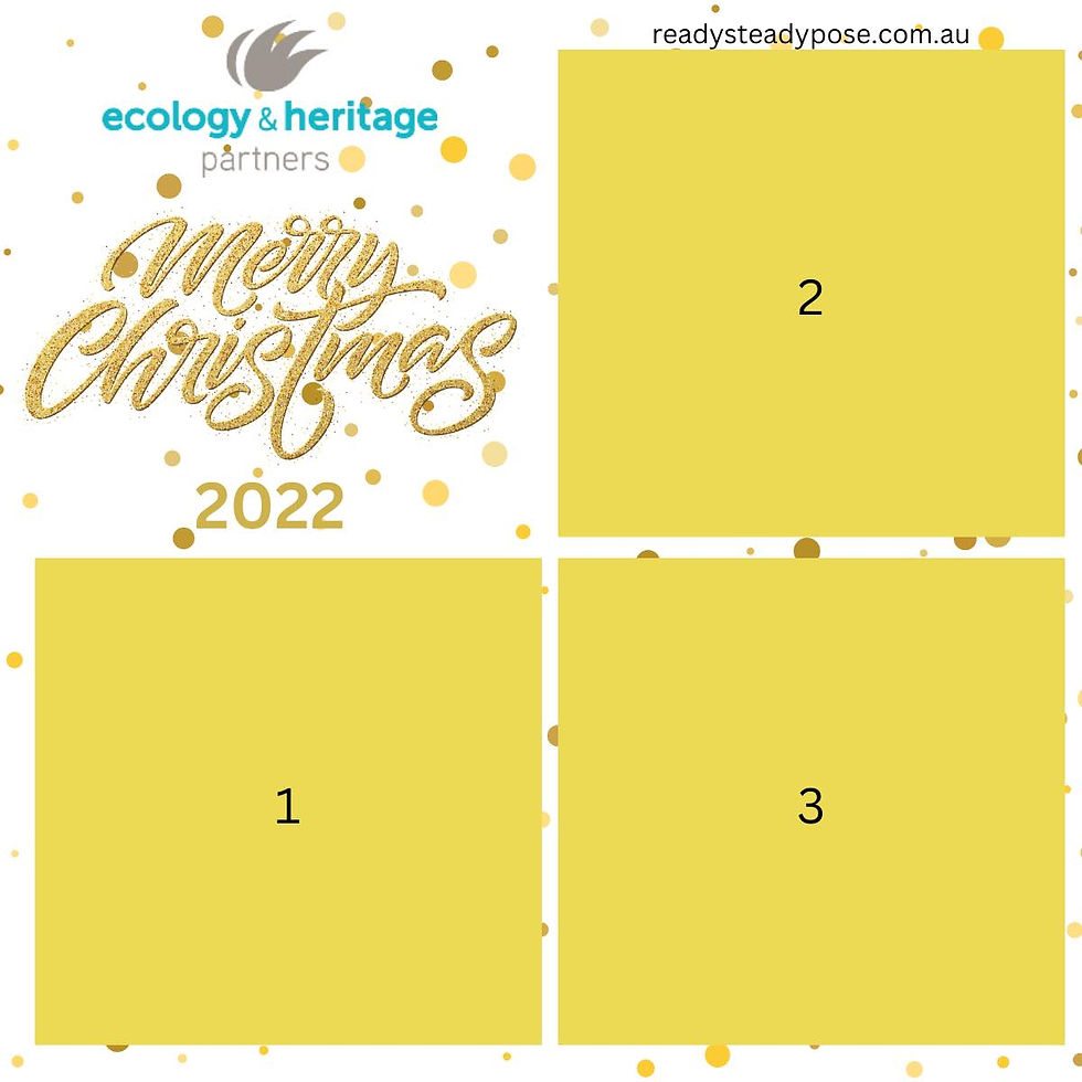 Ecology & Heritage Partners Xmas Party 2022 @ Ms Collins