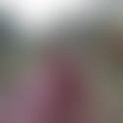 מדריך אחסון התמרים המושלם: מקרר או מקפיא ומהו סוד הנקודות הלבנות