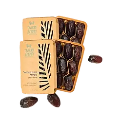 Untitled design (25).webp