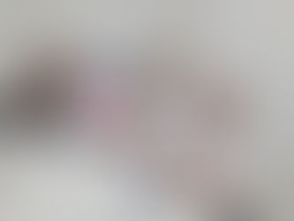 GT da Lei e do Regimento analisa Parecer emitido pela PGM acerca da Minuta que altera a Lei 17.280/2006