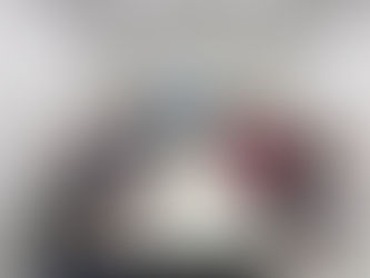 Comissão Organizadora inicia discussão da programação da 17ª Conferência de Saúde do Recife