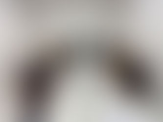 Comissão de Articulação discute eleições do ConSUS dos Distritos Sanitários I,II,III e VIII.