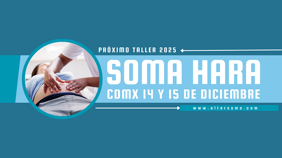 bANNER CDMX DIC.png