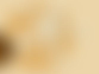 The not-so-complex guide of the Vitamin B Complex