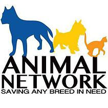 animal network, saving any breed of animal in need in Las Vegas, nevada