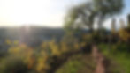 DSCF4277.JPG