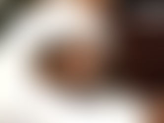 سقوط القطط حين يعلمنا السقوط كيف ننهض