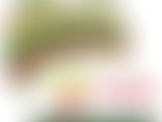 كيان رياضي عربي جديد باسم الجمعية العربية للإدارة الرياضية
من زيد السربل