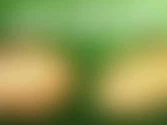 مايسترو بيتزا تطلق "بيتزا اللومي" بالنكهة الحساوية