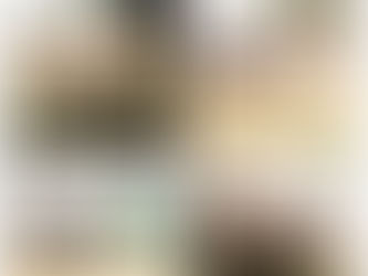 انطلاق فعاليات المهرجان الدولي 4 للتمور المكسيكية 2025 برؤية “إرث زايد الإنساني” لتعزيز الأمن الغذائي العالمي