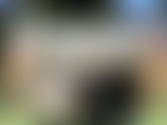 2017고양시협회장기 입상자